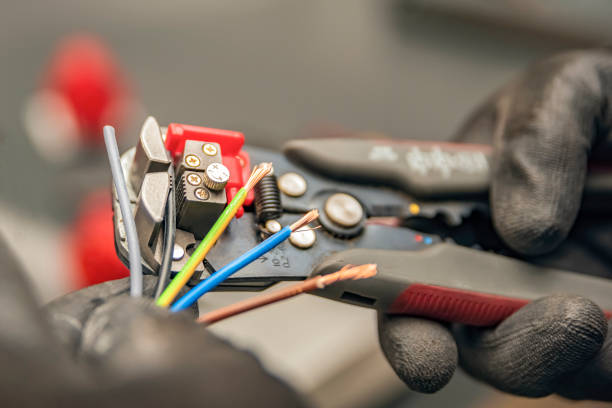Best Electric Panel Repair  in Eclectic, AL