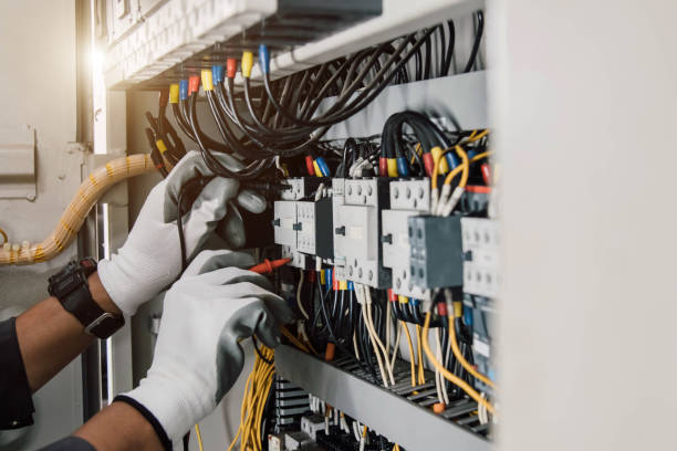Best Electrician for Home Renovation  in Eclectic, AL